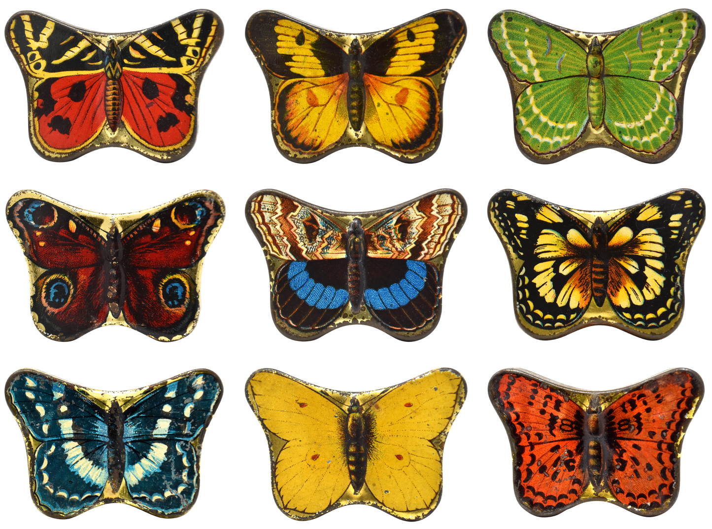 Butterfly collection block T-shirt Black