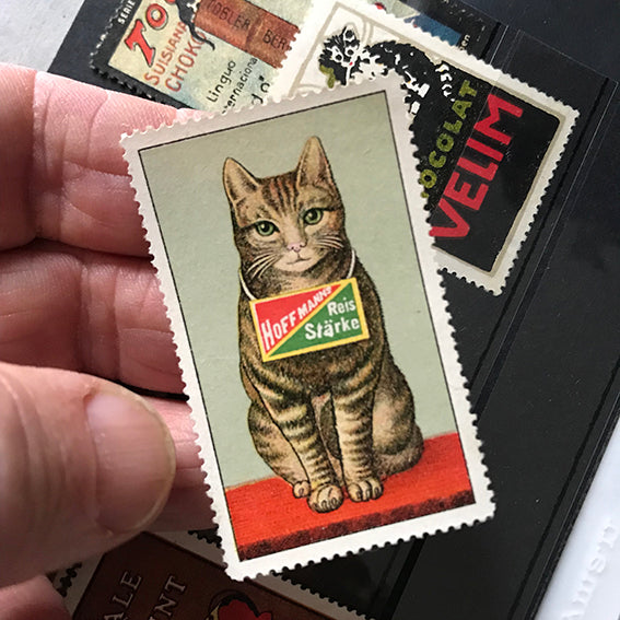 Hoffmann's Starch cat cinderella stamp T-shirt Black